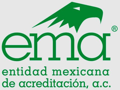 Cliente 7